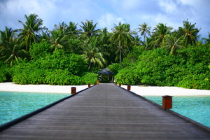 IMG_0800.JPG