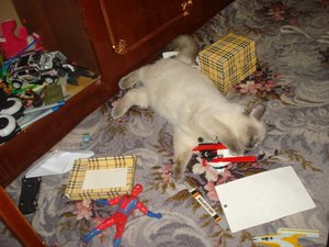 где играли там и спали.JPG