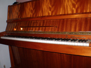 P1010026.JPG