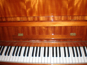 P1010027.JPG
