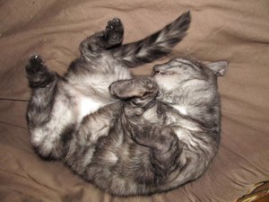 IMG_0067.JPG