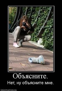 x_12836931.jpg