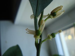 DSC04124.JPG