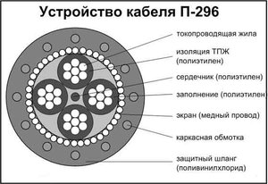 1196.jpg