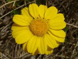20070278[1].jpg