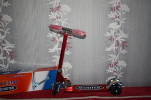 IMG_7811.JPG