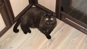 DSC01007.JPG