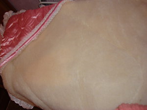 DSC02567.jpg