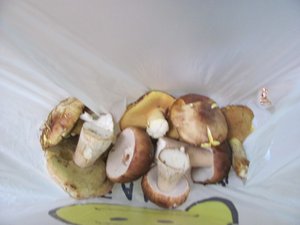 IMG_1955.JPG