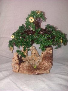 IMAG0343.jpg