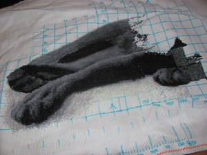 IMG_2038.JPG