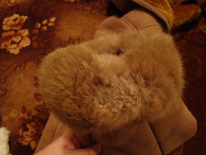 DSC09336.jpg