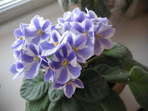 IMG_395312.JPG