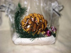IMG_1159.jpg