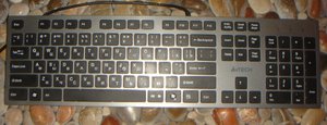 DSC00505-001.JPG