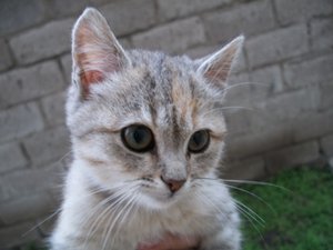 100_6418.JPG