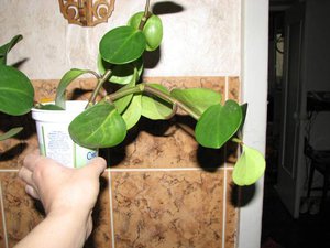 IMG_4458.jpg