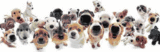 s4630.gif