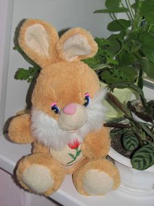 IMG_4622.jpg