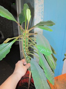 IMG_2793.JPG