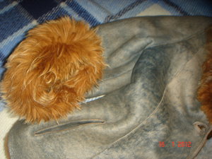 DSC08324.JPG