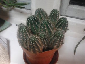 2013-01-12 19.52.42.jpg