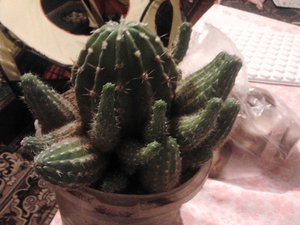 2013-01-12 19.51.19.jpg