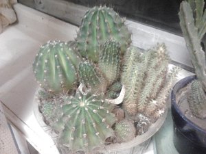 2013-01-12 19.53.34.jpg