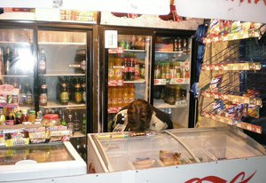 Крым 08.2008 300.jpg