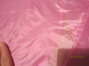 IMG_3007.JPG