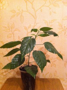 IMG_0023.jpg