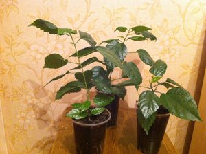 IMG_0025.jpg