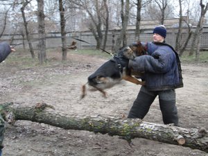 IMG_0731.JPG