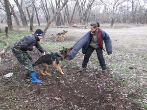 IMG_0685.JPG