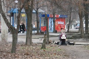 IMG_4795 - копия.JPG