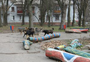 IMG_4797 - копия.JPG