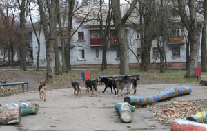 IMG_4798 - копия.JPG
