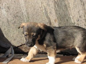 IMG_4844.jpg