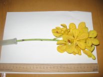 IMG_0046.JPG