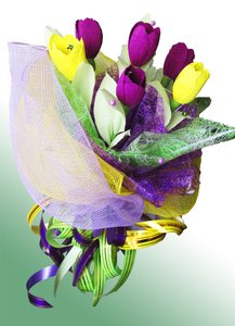 IMG_1173.jpg