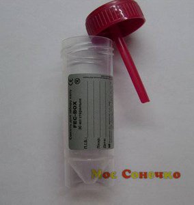 1224755_gallery_large1.jpg