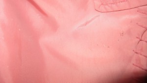 IMG_1533.JPG