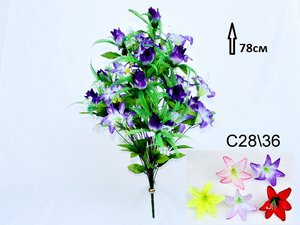 C28-36.JPG