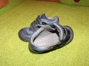 ecco new3.jpg