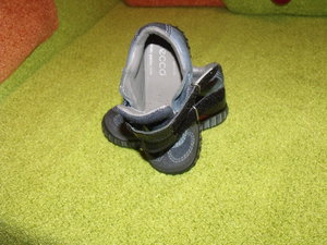 ecco new4.jpg