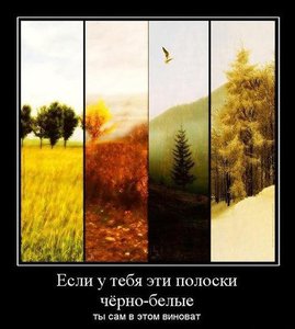 67373924_1290423256_769831_esliutebyaetipoloskichyornobelyie.jpg