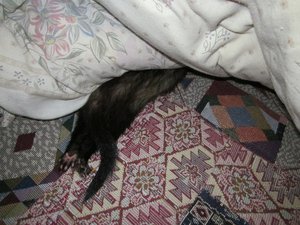 IMG_0552.jpg