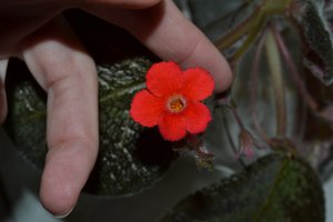 DSC_1384.JPG