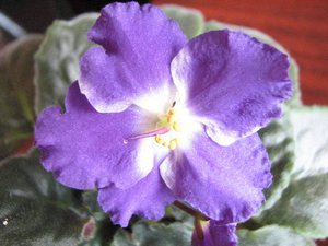 IMG_5535.jpg