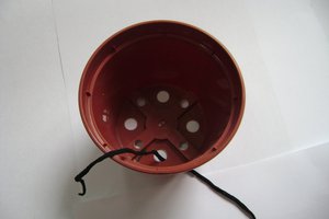 DSC03156.JPG